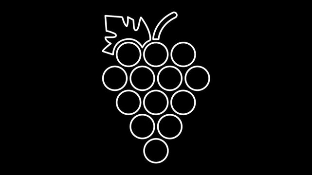 grapes Stylized black line animation bunch