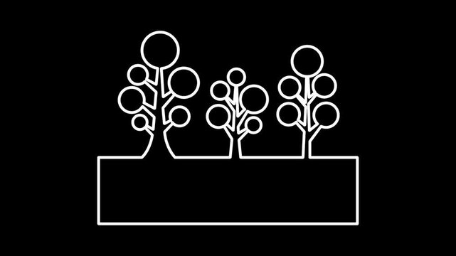 trees on a rectangular base line animation design