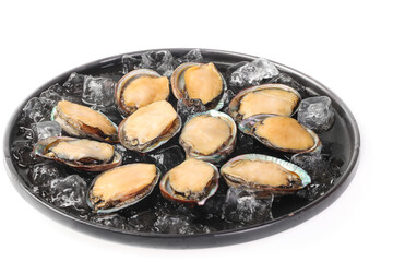 Fototapeta premium Fresh Dalian Abalone on Ice - Premium Quality Seafood Product