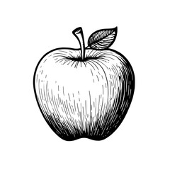 apple sketch on white illustration