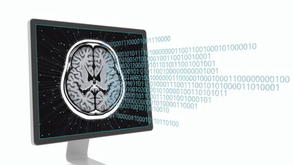 Digital representation of a human brain scan on a computer screen with flowing binary code, illustrating the advanced integration of neuroscience, medical imaging, and data processing technology