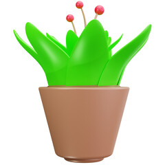 Flower Pot Garden Plant