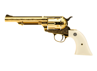 Gold plated revolver pistol