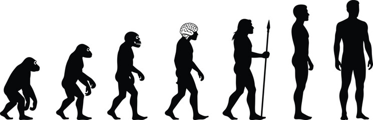 Human evolution silhouette vector, primate to modern man, cognitive development, tool usage, anthropology concept, black illustration, scientific timeline graphic © AtikurRahman