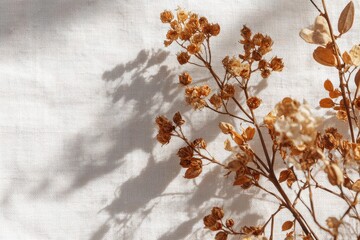 Dried floral arrangement with shadows cast upon white fabric. Elegant, natural composition
