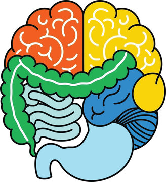 a colorful illustration of a human brain and digestive system combined showcasing the complexities of the body s internal mechanisms