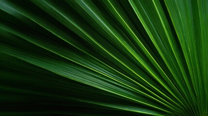 Obraz premium A close-up of vibrant green palm leaves, showcasing intricate textures and patterns, creating a natural and calming visual effect.