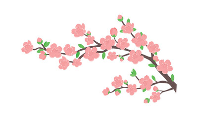 Illustration of a cherry blossom branch with pink flowers.