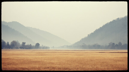 Golden grass field misty valley with distant tree line