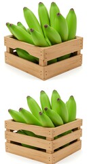 木箱に詰まった青バナナの瑞々しさ