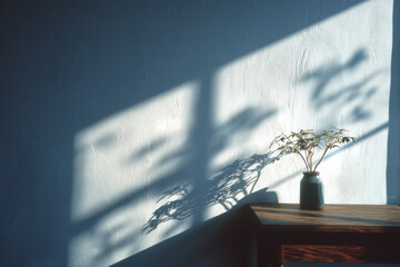 A potted plant stands in soft daylight, creating gentle visual rhythm through shadows, natural light, and minimal interior space.