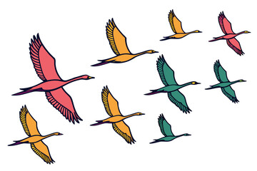 Obraz premium set of Bird flying flock silhouette vector illustration isolated on white background