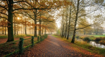 Obraz premium Serene autumnal pathway lined with trees and vibrant golden foliage under warm sunlight