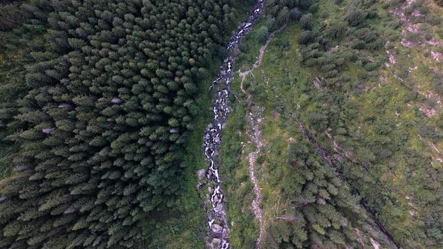 Aerial view of lush forest and cascading Balea waterfall in the mountains