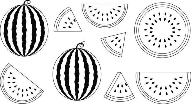 Watermelon fruit set, black and white line art, whole and slice with seeds, summer food, coloring page, cad drawing flat vector illustration.