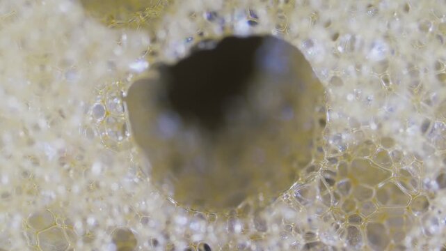 Closed-cell polyethylene sponge foam structure under microscope