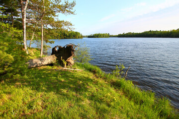 View of Sweeney Lake in the beautiful northwoods of Wisconsin