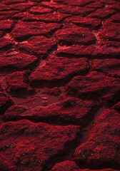 Crimson Cracked Earth
