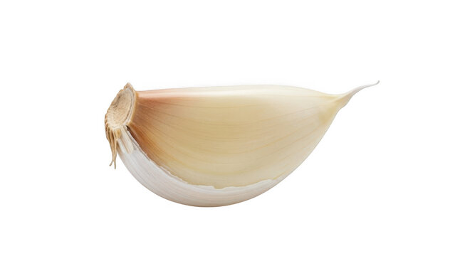 Single garlic clove on white background