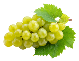 A close-up view of a bunch of ripe, green grapes with vibrant green leaves, showcasing their round shape