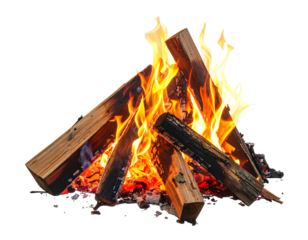 A close-up view of a burning campfire. The bright flames dance over burning logs and glowing embers against a dark background