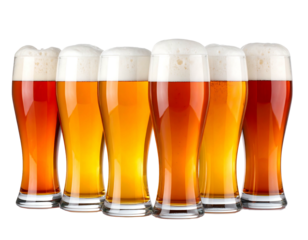 A close-up showcases a row of six tall beer glasses, each filled with frothy golden and amber brews against a black backdrop