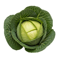 Fototapeta premium Whole green cabbage head with textured leaves, isolated subject for grocery and health concepts.