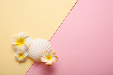 Obraz premium Beautiful plumeria flowers with seashells on color background