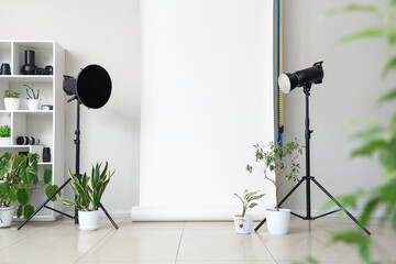Interior of photo studio with houseplants and professional equipment