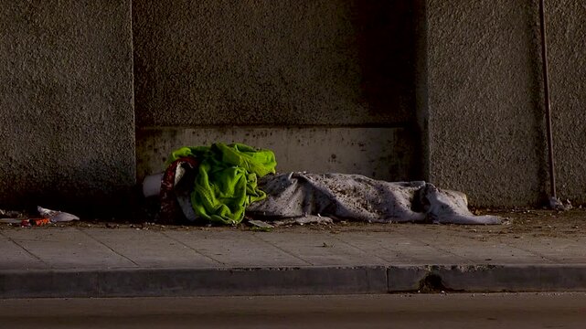 Homeless encampment in Los Angeles