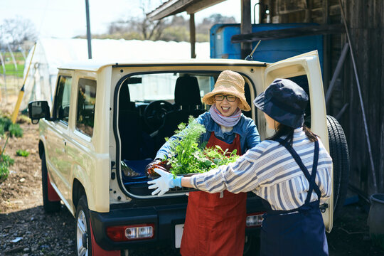 車から苗を下ろす女性達