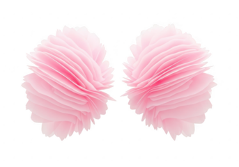 Delicate pink petals form abstract lung shapes on black background