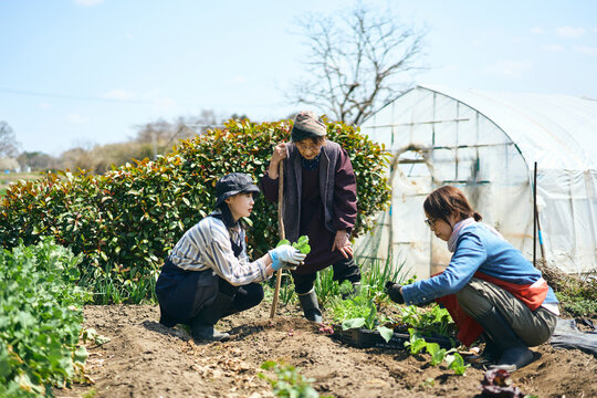 家庭菜園で会話をしながら作業をする
女性達