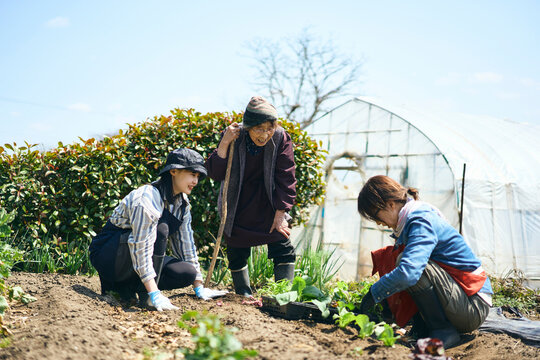 家庭菜園で会話をしながら作業をする
女性達