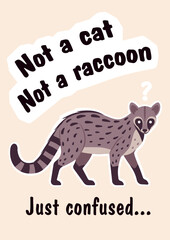 Fototapeta premium Not cat, raccoon, confused cute civet slogan poster. Inspirational quote, T-shirt printing, motivational copybook covers ready design, creative banner typography, tote bag decor. Vector illustration