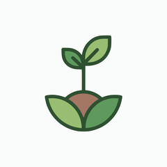 Sprouting seedling with green leaves growing