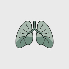 Human lungs with trachea and bronchi illustration