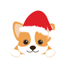 Cute Corgi Puppy wearing Santa Hat