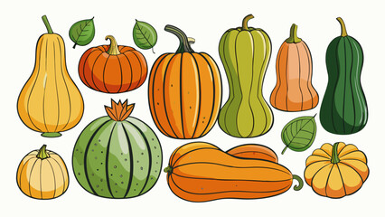 Pumpkin and gourd collection Vector © Rana