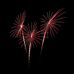 Red firework sparkling on black background for celebration and anniversary