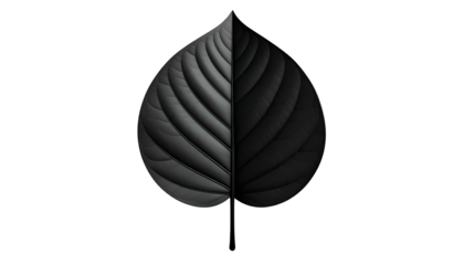 A detailed, stylized black leaf in a two-tone design against a black background