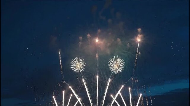 Spectacular fireworks display bursting in the night sky.