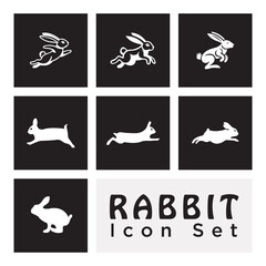 Rabbit icon set logo template