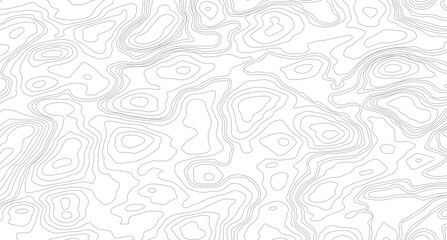 Fototapeta premium Topography background. Vector banner. Background of the topographic map. Topographic map lines, contour background. 
