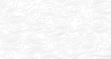 Topography background. Vector banner. Background of the topographic map. Topographic map lines, contour background.  © Mst