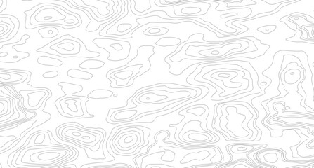 Fototapeta premium Topography background. Vector banner. Background of the topographic map. Topographic map lines, contour background. 