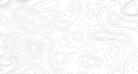 Topography background. Vector banner. Topography map background. Vector geographic contour map.  © Mst