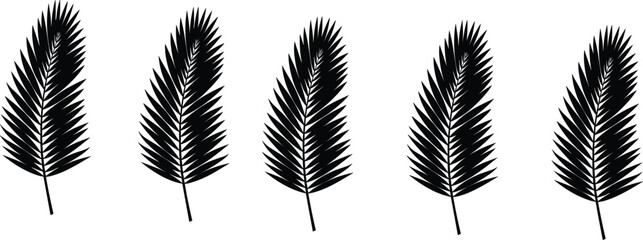 Leaf silhouette, fern shape, botanical design, nature element, foliage vector, plant pattern, symmetry leaves © MDMOHOBBAT