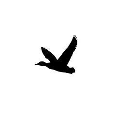 Obraz premium Black flying duck silhouette isolated on white background, minimalist vector-style illustration representing wildlife, nature, and freedom.
