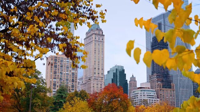 Autumn skyline view from Central Park. Tall skyscrapers of Manhattan seen through colorful autumn trees in Central Park.